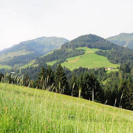 Appartamento Vorderaltensberg Auffach Esterno foto