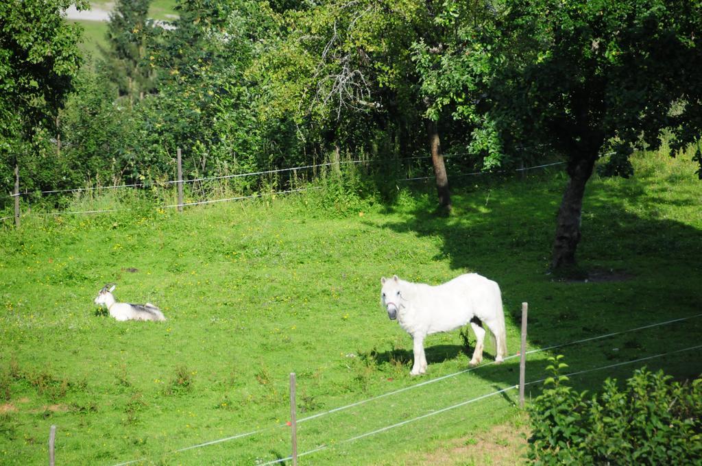 Appartamento Vorderaltensberg Auffach Esterno foto