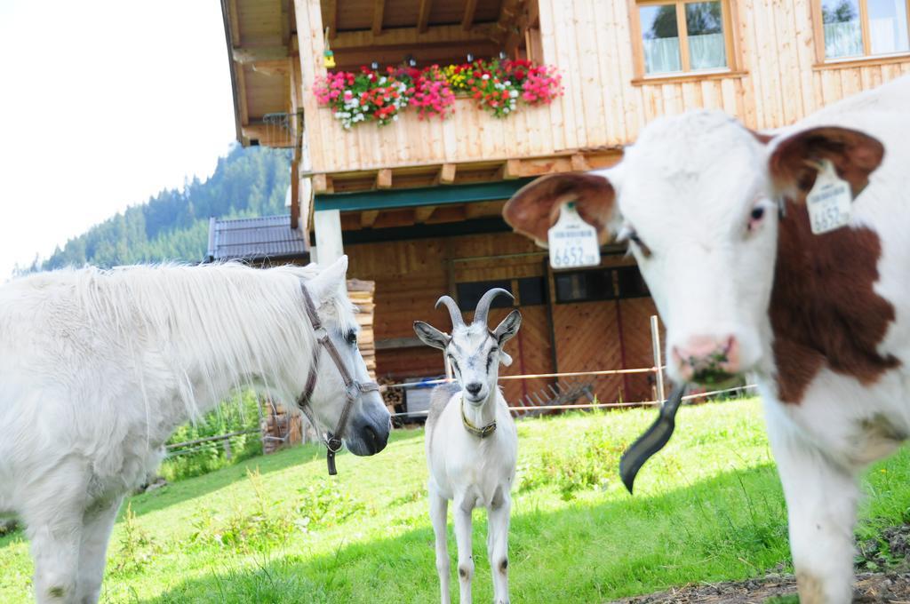 Appartamento Vorderaltensberg Auffach Esterno foto