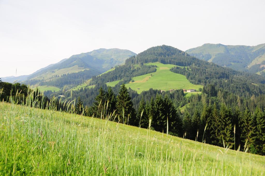 Appartamento Vorderaltensberg Auffach Esterno foto